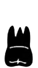 Image for choice number 1