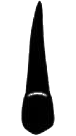 Image for choice number 12