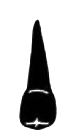 Image for choice number 14