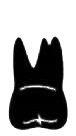Image for choice number 15