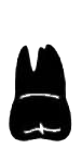 Image for choice number 16