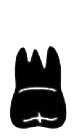 Image for choice number 17