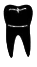Image for choice number 15