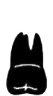 Image for choice number 2