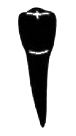 Image for choice number 14