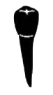 Image for choice number 13