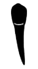Image for choice number 12