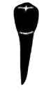 Image for choice number 6