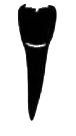 Image for choice number 4