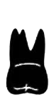 Image for choice number 3