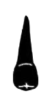 Image for choice number 4