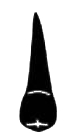 Image for choice number 5