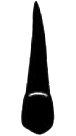 Image for choice number 6